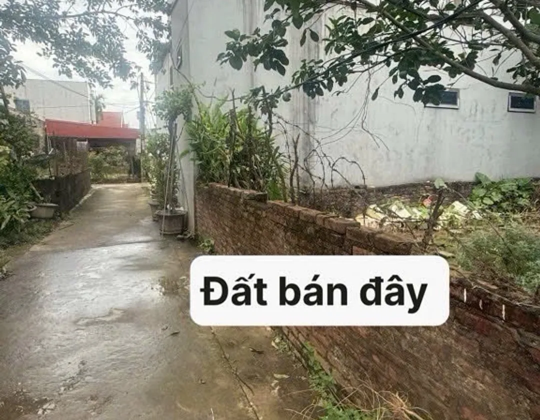 Đất vàng trung tâm Văn Giang sát Ecopark, ô tô đỗ cửa... Bán đất tại Văn Giang, Hưng Yên 01