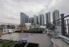 Bán nhà mặt phố 4 tầng tại quận 7, khu dân cư văn minh, mặt tiền 5m... Bán nhà mặt phố tại Tân Thuận, Hồ Chí Minh 06