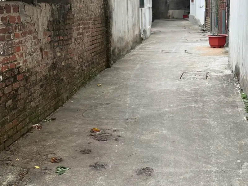 Cơ hội sở hữu đất vuông hiếm tại Đại Đồng, Thiên Lộc giá tốt... Bán đất tại Thiên Lộc, Hà Nội 01