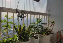Chung cư 3 phòng ngủ tại Bàu Cát 2, diện tích 87,5m2 giá 5,45 tỷ... Bán căn hộ chung cư tại Bảy Hiền, Hồ Chí Minh 15