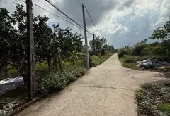Cơ hội hiếm có sở hữu đất rộng 982m2 tại Duyên Hà Vạn Phúc... Bán owner_side tại Thanh Trì, Hà Nội 01