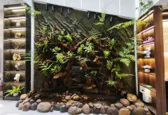 🌿 NHÀ 3 TẦNG ĐƯỜNG 7.5M– VƯỜN TRONG NHÀ - TẾ HANH | HÒA XUÂN- ĐÀ NẴNG... Bán nhà mặt phố tại Hòa Xuân, Đà Nẵng 08