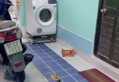 Nhà 2 tầng giá sốc, hẻm ô tô Nguyễn Tri Phương... Bán nhà riêng tại Diên Hồng, Hồ Chí Minh 11