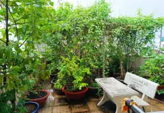 Nhà 5 Tầng Sẵn Sàng Hoàn Công, Thiết Kế Đẹp Nở Hậu... Bán nhà riêng tại Bảy Hiền, Hồ Chí Minh 11