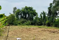 Bán đất gần 1000m2 tại Bình Chánh, có 300m2 thổ cư xây dựng được... Bán owner_side tại Bình Lợi, Hồ Chí Minh 02