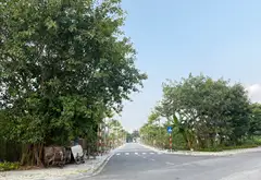 THƯ LÂM- NHÀ MỚI ĐẸP
-ÔTÔ VÀO TẬN NƠI... Bán nhà riêng tại Thư Lâm, Hà Nội 03