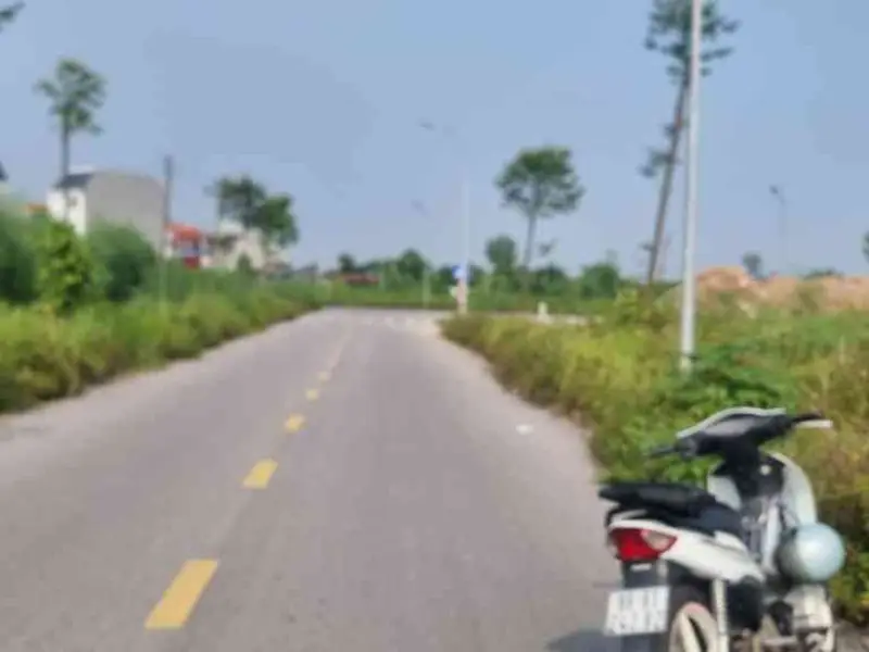 Bán đất phân lô 100m2 tại phường Đại Trung, gần khu công nghiệp Đại Đồng... Bán đất tại Đại Đồng, Bắc Ninh 01
