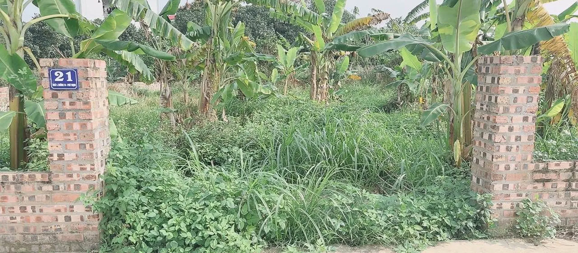 Cơ hội hiếm có sở hữu lô đất đẹp tránh ô tô tại xã Kim Anh, TP Hà Nội... Bán đất tại Kim Anh, Hà Nội 01