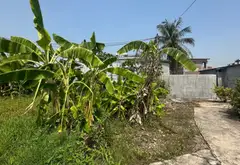 Đất nền thôn Kiều Hạ, Quốc Tuấn, An Dương với định hướng đông và mặt tiền rộng... Bán đất tại An Dương, Hải Phòng 02