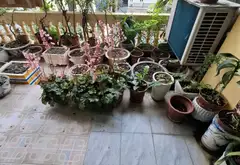 NHÀ 3 TẦNG 86m2 TRỤC KINH DOANH ĐƯỜNG LÒ VÔI HẢI BỐI ĐÔNG ANH -SỔ CHÍNH CHỦ... Bán nhà mặt phố tại Vĩnh Thanh, Hà Nội 13