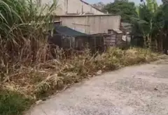 Bán đất 3100m đường nhựa, có 1000m thổ cư, Đông Thạnh, Hóc Môn... Bán đất tại Đông Thạnh, Hồ Chí Minh 05