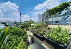 Bán nhà 3 tầng 53m2 tại Mễ Cốc, pháp lý đầy đủ, giá 6,3 tỷ... Bán nhà riêng tại Phú Định, Hồ Chí Minh 07