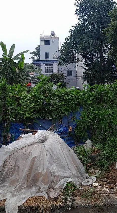 Đất Vàng Hương Đình Sóc Sơn – Mặt Tiền Rộng, Sổ Đỏ Sạch... Bán đất tại Sóc Sơn, Hà Nội 01