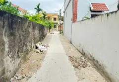🌺NỞ HẬU - KCN ĐÔNG ANH 300HA - OTO ĐỖ CỬA - CÁCH TRỤC CHÍNH KINH DOANH CHỢ 70M🌺
 Xuân Nộn... Bán đất tại Thư Lâm, Hà Nội 03