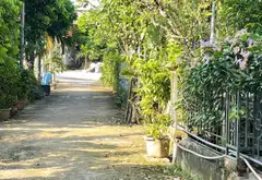 Đất phân lô mặt tiền rộng tại Văn Giang, Hưng Yên... Bán đất tại Văn Giang, Hưng Yên 09