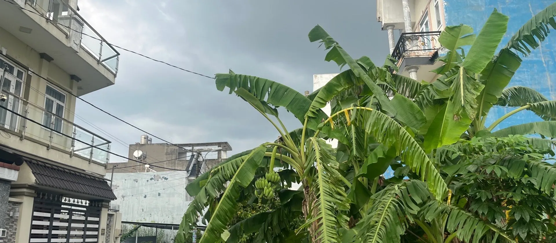🔥 NHÀ + KHO PHAN VĂN HỚN – 10×18M – KHU DÂN CƯ ĐỒNG BỘ 🔥... Bán nhà riêng tại Xuân Thới Sơn, Hồ Chí Minh 01
