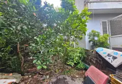 Bán đất sổ đỏ, giá mềm tại Ngọc Trục, sử dụng diện tích rộng 40m²... Bán đất tại Đại Mỗ, Hà Nội 03