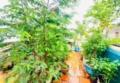 Mặt tiền đường PHAN ANH
80M2. KHÔNG LỘ GIỚI
GIÁ CHỈ 13TY500... Bán nhà mặt phố tại Phú Thạnh, Hồ Chí Minh 12