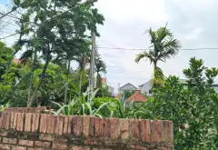 Đất thôn Xuân Lễ chia lô đẹp, ngõ ôtô thông, đầu tư sinh lời tốt... Bán đất tại Kim Anh, Hà Nội 10