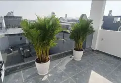Cơ hội sở hữu nhà mặt tiền siêu phẩm gần chợ Bình Thành, giá tốt khó bỏ qua... Bán nhà riêng tại Bình Tân, Hồ Chí Minh 09