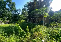 Đất nền vị trí đắc địa tại tổ dân phố 7, thị trấn An Dương... Bán đất tại An Dương, Hải Phòng 05
