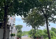 💥 80M2 NHÀ 3 TẦNG 🌱NGANG 5M ĐỐI DIỆN VINHOM GRAND PARK Q9 GIÁ CHỈ 6.7 TỶ HOÀN CÔNG SỔ MỚI... Bán nhà mặt phố tại Long Bình, Hồ Chí Minh 10