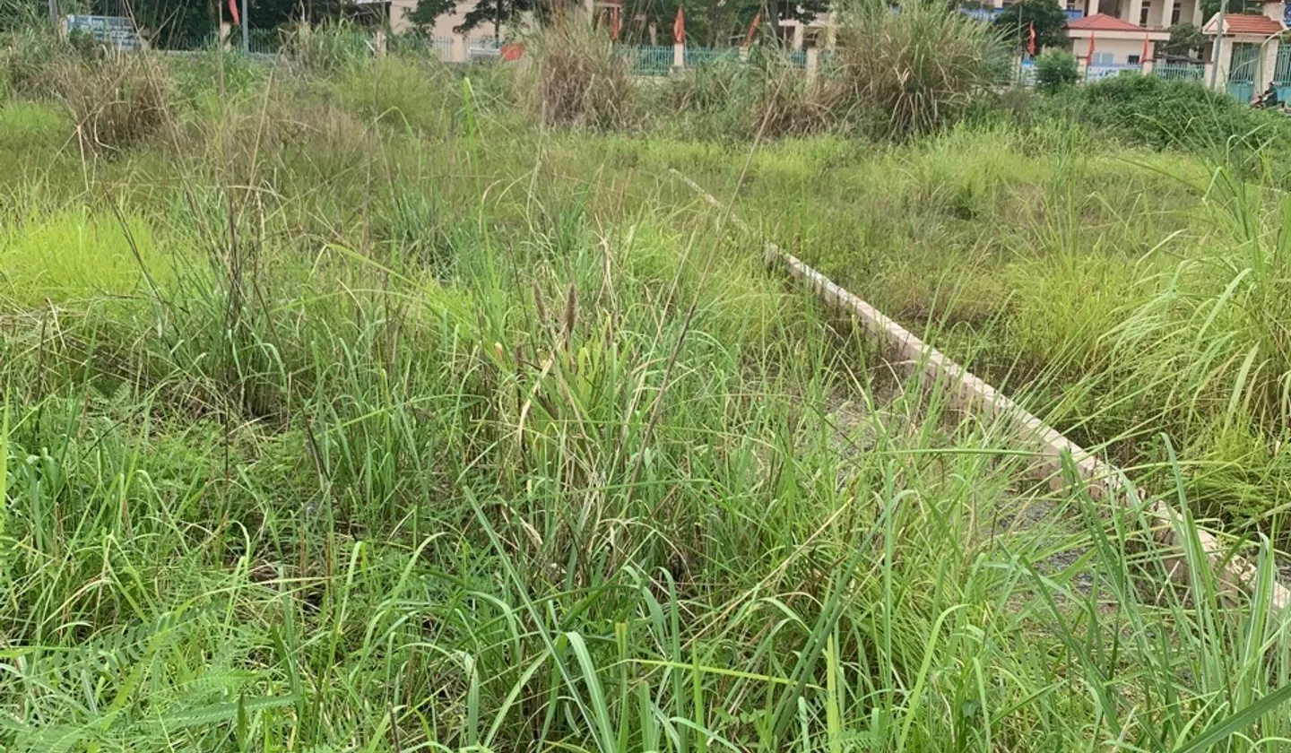 Đất Nền Thôn 5 Thủy Sơn Hướng Đông Nam, Tiềm Năng Tăng Giá Vượt Trội... Bán đất tại Thủy Nguyên, Hải Phòng 01