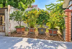 Bán Đất Đại Mạch Cũ , 109m - Oto Thông - Gần Cầu Thượng Cát - Kcn Bắc Thăng LOng... Bán owner_side tại Thiên Lộc, Hà Nội 01