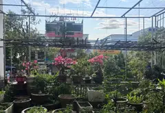 Nhà mặt phố Nguyễn Hữu Thọ, cơ hội vàng cho kinh doanh thành công... Bán nhà mặt phố tại Hải Châu, Đà Nẵng 11