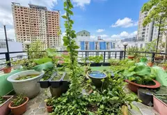 BÁN GẤP MẶT TIỀN TRỊNH ĐÌNH TRỌNG – GIẢM NGAY 1 TỶ!
🏡 VỊ TRÍ VIP – 4 TẦNG + SÂN THƯỢNG – 8 PHÒNG N... Bán nhà mặt phố tại Tân Phú, Hồ Chí Minh 18