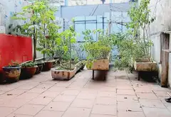 Nhà mặt phố Ngô Gia Tự, kinh doanh đỉnh cao, vị trí vàng... Bán nhà mặt phố tại Việt Hưng, Hà Nội 13