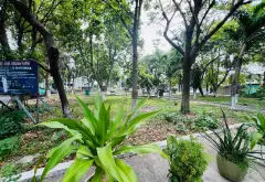 KHU PHÂN LÔ BÀN CỜ - MẶT TIỀN KHỦNG 6,5m ❌15m 2 TÀNG ĐƯỜNG NHỰA Ô TÔ TRÁNH 6m P TÂN THỚI HIỆP Q12... Bán nhà mặt phố tại Tân Thới Hiệp, Hồ Chí Minh 12