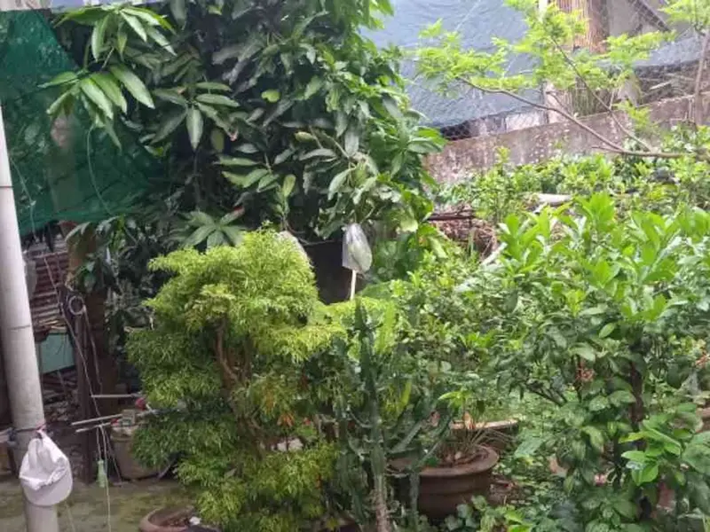 ĐẤT KIỆT 5M NGUYỄN VĂN THOẠI - 89.3m² - Sơn Trà, Đà Nẵng - 18.9 tỷ 0762,658,925 – HIỀN... Bán đất tại Sơn Trà, Đà Nẵng 01