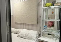 Bán nhà riêng 2 tầng kèm 10 phòng trọ tại phường Trường Thọ, Thủ Đức, giảm giá còn 8.2 tỷ... Bán nhà riêng tại Thủ Đức, Hồ Chí Minh 07