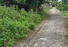 Lô đất 71.5m2 vị trí trung tâm Phường Thiên Hương TP Hải Phòng... Bán đất tại Thiên Hương, Hải Phòng 03
