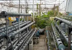 Bán nhà-Phường Bình Trị Đông, Quận Bình Tân, diện tích 92 m2, 4 tầng... Bán nhà mặt phố tại Bình Trị Đông, Hồ Chí Minh 07