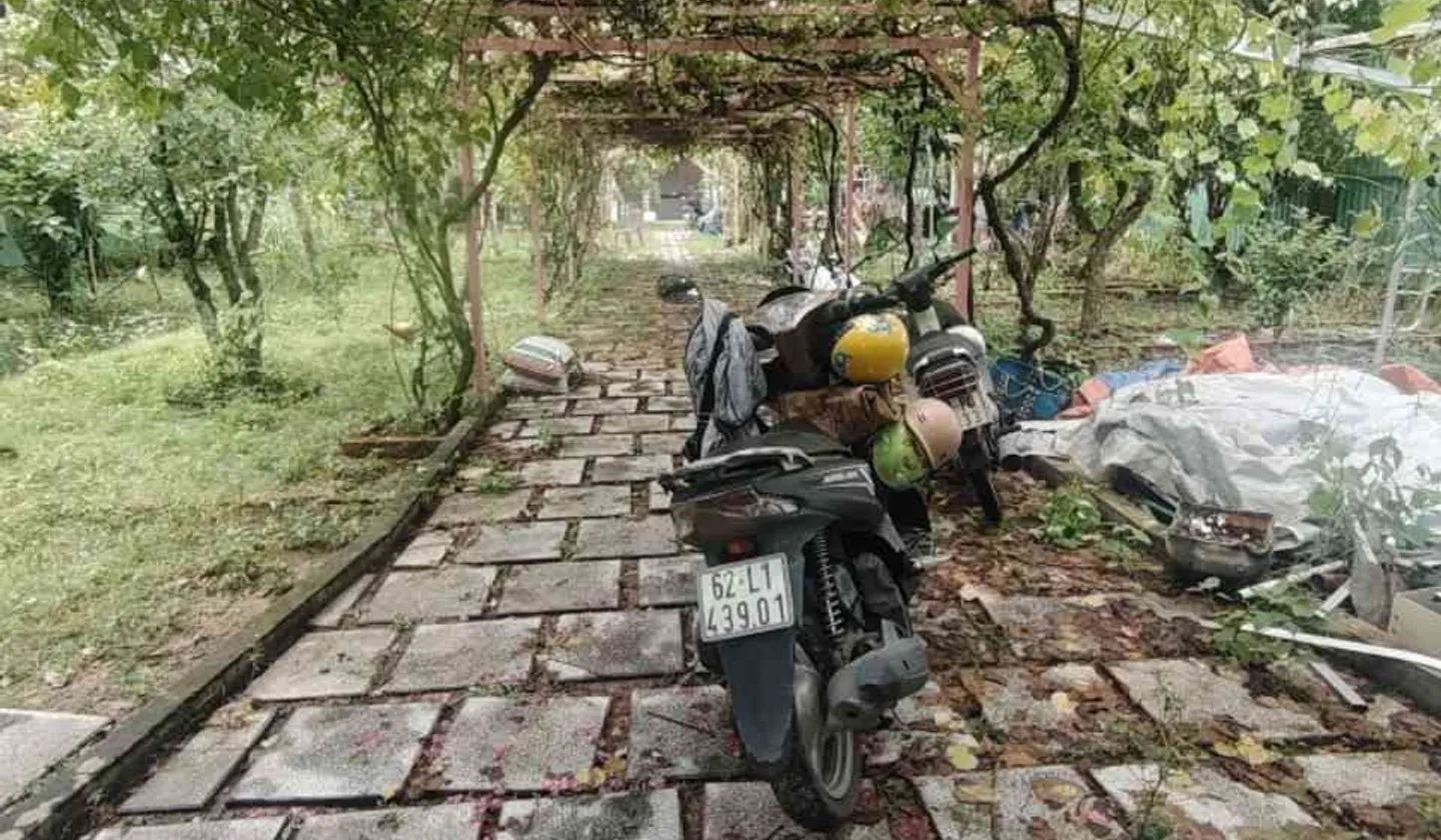 Nhà vườn siêu rộng tại Long Thới, Nhà Bè không gian yên tĩnh có sân vườn hồ cá coi... Bán nhà riêng tại Hiệp Phước, Hồ Chí Minh 01