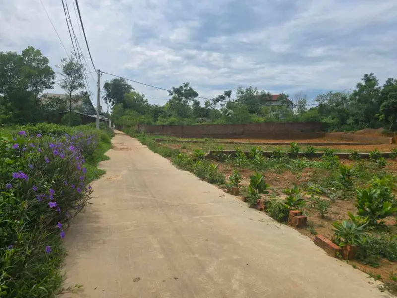 Đất Vuông Mặt Tiền Rộng 12m Sóc Sơn – Cơ Hội Vàng Đầu Tư... Bán đất tại Trung Giã, Hà Nội 01