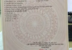 Lô Đất Đẹp Sóc Sơn – Sống Xanh, Đầu Tư Khôn Ngoan... Bán đất tại Đa Phúc, Hà Nội 06