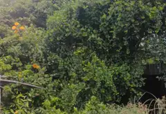 Bùng nổ cơ hội sở hữu đất vàng KDC Thăng Long, An Lạc... Bán đất tại An Lạc, Hồ Chí Minh 08