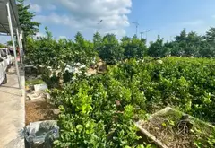 💥ĐẤT ĐẤU GIÁ CÔNG LUẬN 2, MẶT TIỀN RỘNG - KINH DOANH ĐỈNH - VIEW SÂN VẬN ĐỘNG PVF - XÃ VĂN GIANG... Bán đất tại Văn Giang, Hưng Yên 09