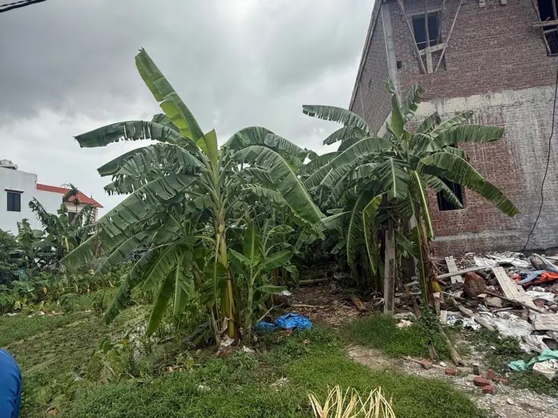 Bán đất mặt ngõ rộng 8m tại Tân Thành, Dương Kinh, diện tích 110m2 giá 2,4 tỷ... Bán đất tại Dương Kinh, Hải Phòng 01