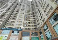 Bán căn hộ chung cư 79.3m² tại Tân Tây Đô, thiết kế 3 phòng ngủ, sẵn sàng ở ngay... Bán căn hộ chung cư tại Hoài Đức, Hà Nội 01