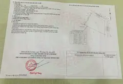 Biệt phủ sân vườn 2 mặt tiền tại Bình Chánh... Bán partner tại Tân Nhựt, Hồ Chí Minh 22