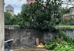 Đất Vàng - Hồng Vân- Ngõ Thẳng Trục, Cách Đường Chính Chỉ 50m... Bán đất tại Chương Dương, Hà Nội 01