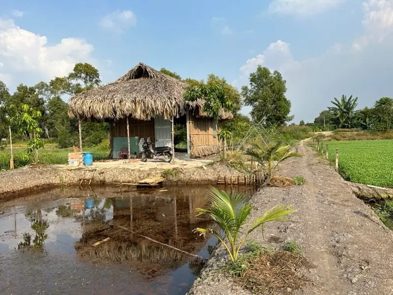 B.á.n đất Hóc Môn, sổ hồng chính chủ, 1583m2, gần chợ, Đại học lao động xã hội…, nhỉnh 5 tỷ... Bán đất tại Đông Thạnh, Hồ Chí Minh 01
