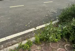 Đất Phân Lô Vị Trí Vàng Tại Đan Phượng - Hà Nội... Bán đất tại Đan Phượng, Hà Nội 06