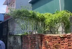 Bán đất thổ cư 75m2 mặt tiền rộng tại Đồng Kỵ 2... Bán đất tại Đồng Nguyên, Bắc Ninh 02