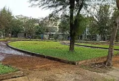 Đất Biệt Thự Mặt Tiền Đường Rộng Xã Phong Phú Bình Chánh... Bán đất tại Bình Hưng, Hồ Chí Minh 03