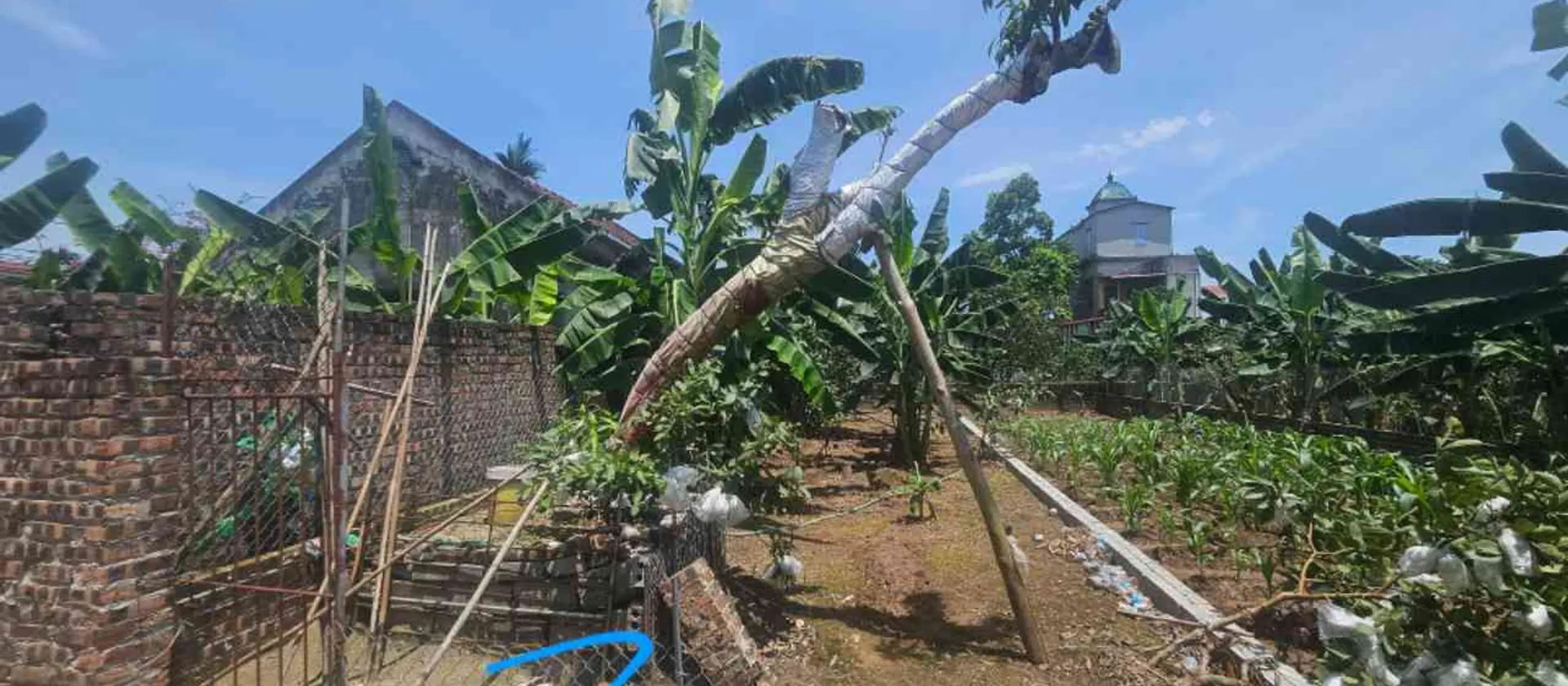 Đất thổ cư bứt phá- đông tảo- Hưng Yên , tìm năng cao... Bán đất tại Hoàn Long, Hưng Yên 01